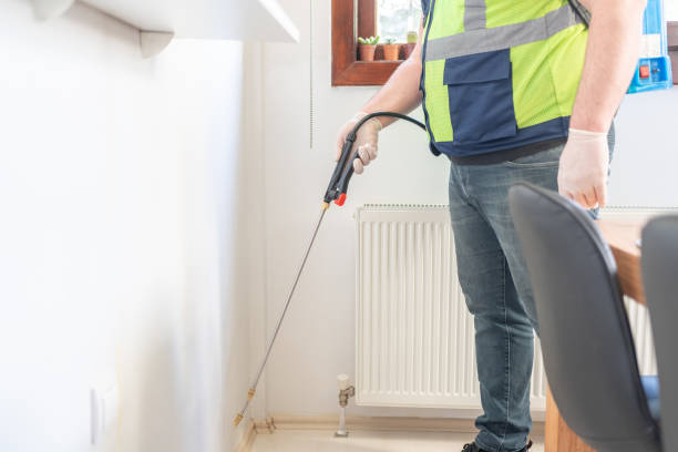 Best Residential Pest Control  in Bellemont, AZ